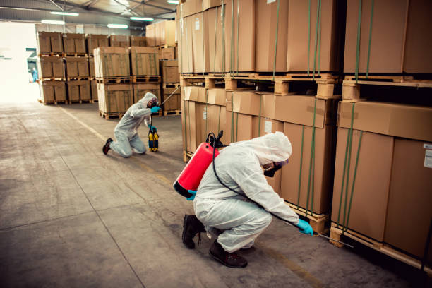Best Cockroach Control Services  in Pato, WA